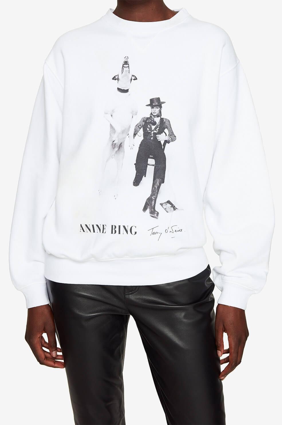 anine bing bowie jumper