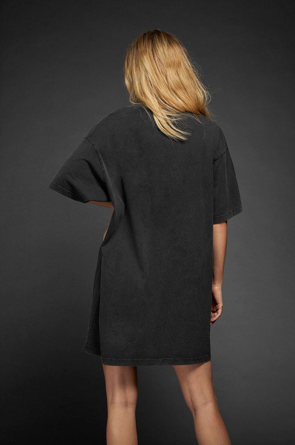 anine bing t shirt dress