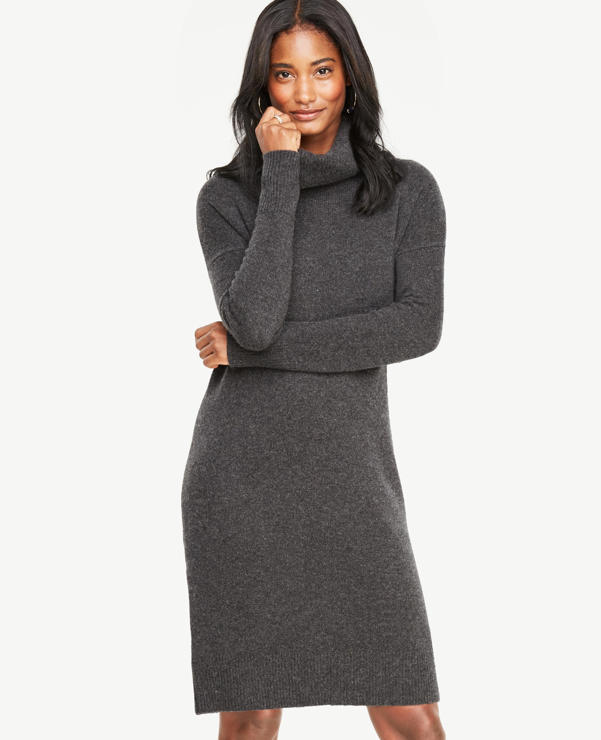 ann taylor sweater dresses
