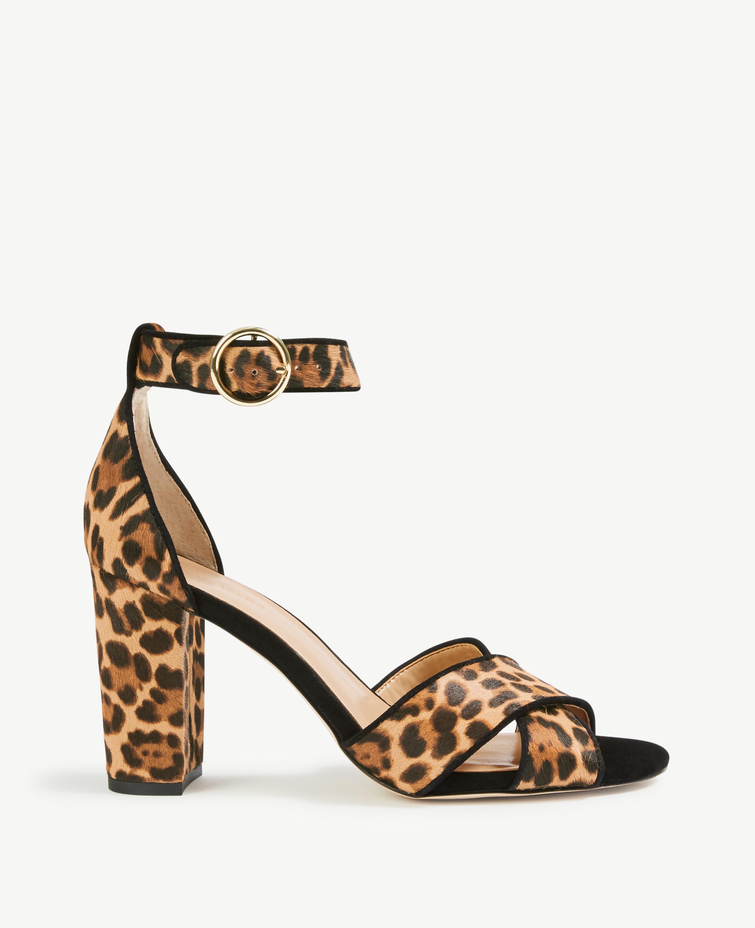 ann taylor leopard heels