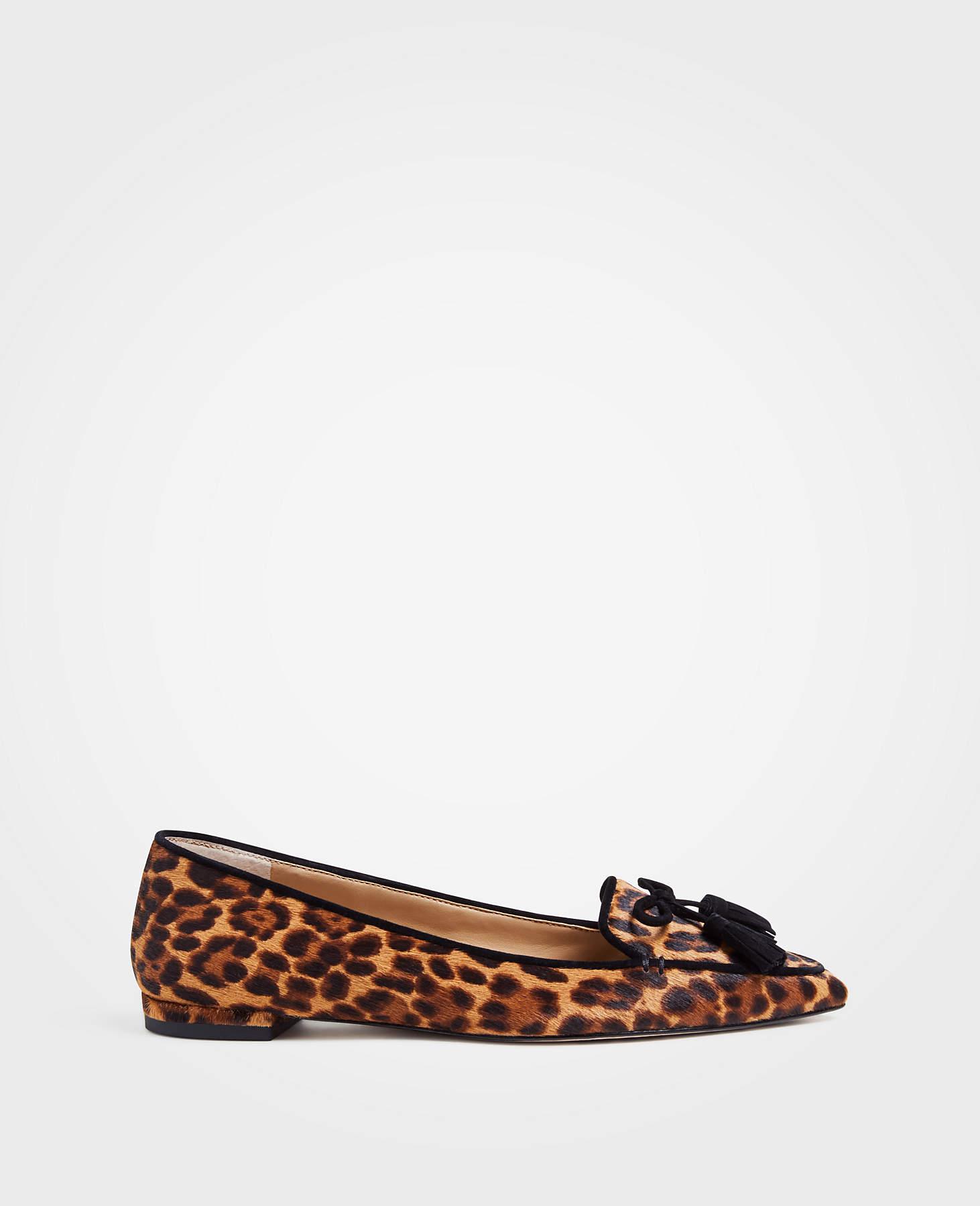 ann taylor leopard flats