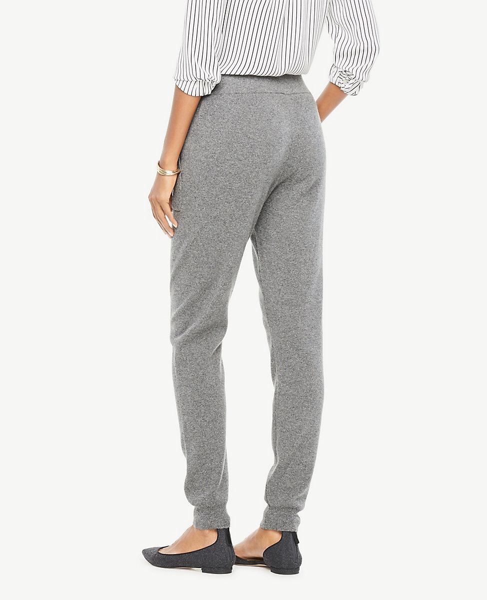 ann taylor joggers