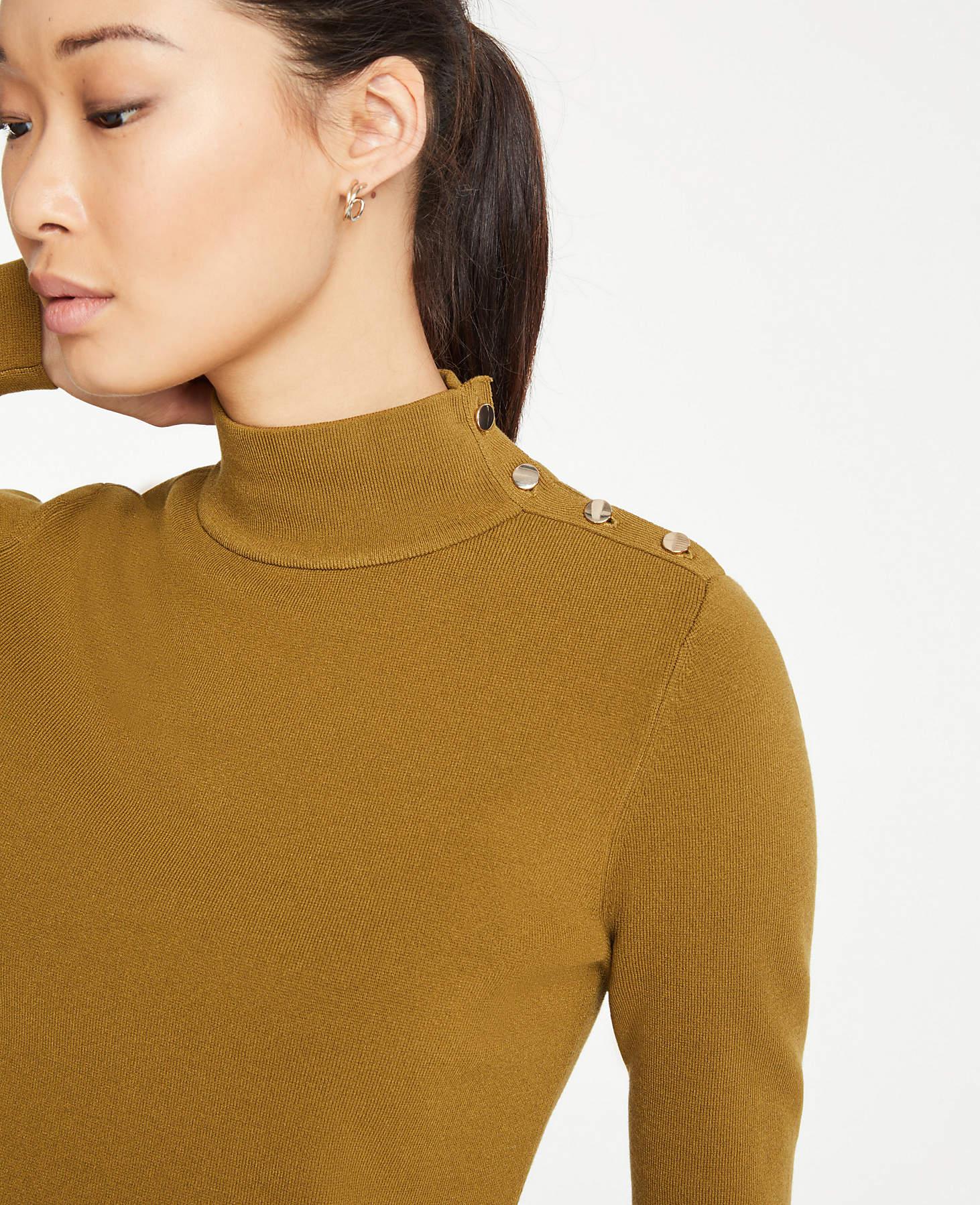 ann taylor turtleneck sweaters