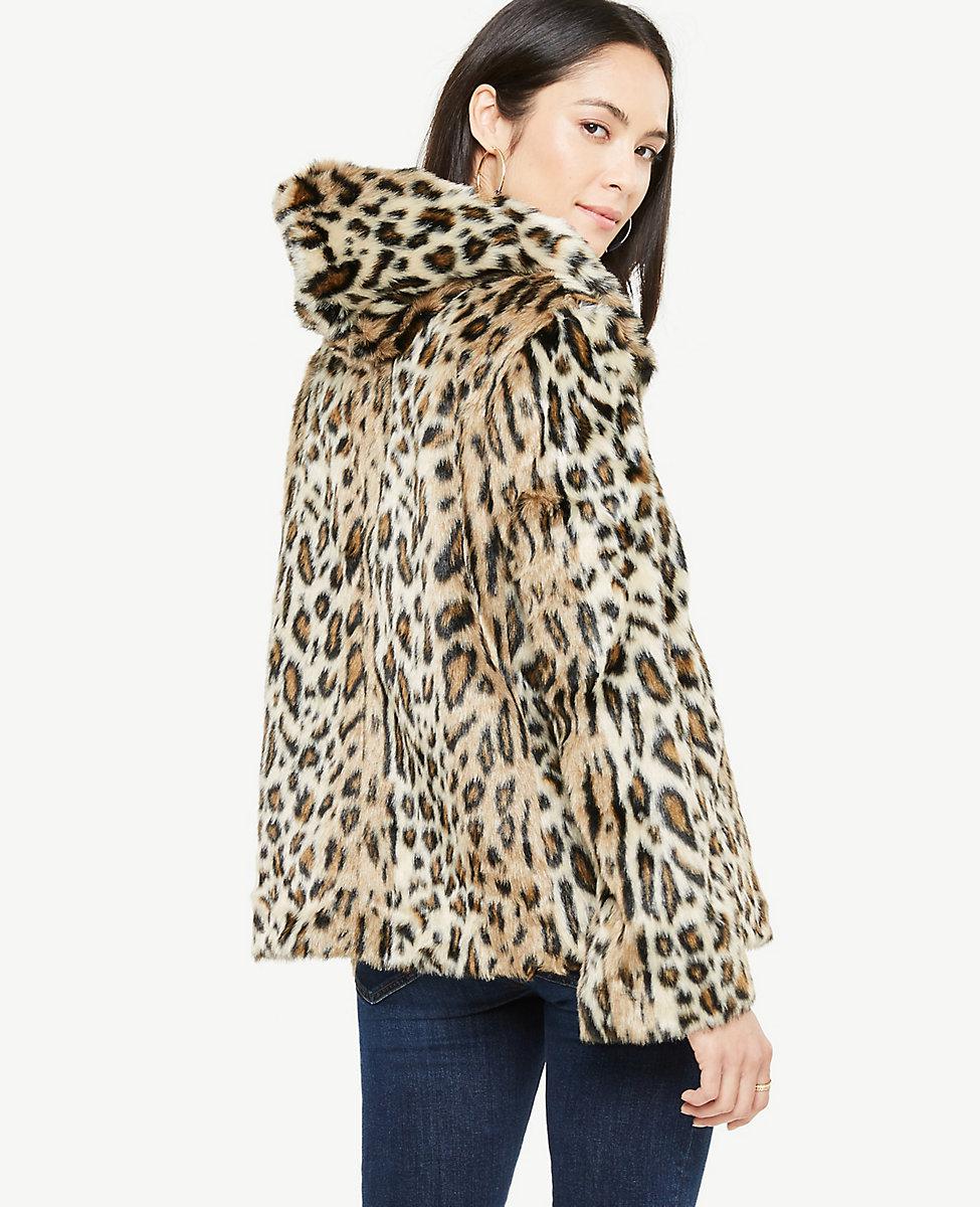 leopard hooded coat