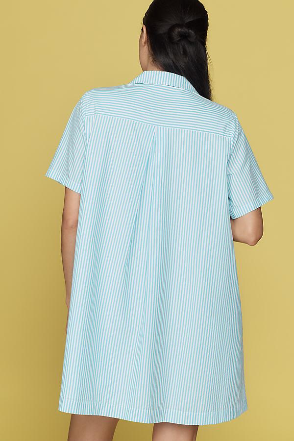 By Anthropologie The Pollie Short-Sleeve Swing Tunic Mini Dress: Embroidered  Edition in Blue