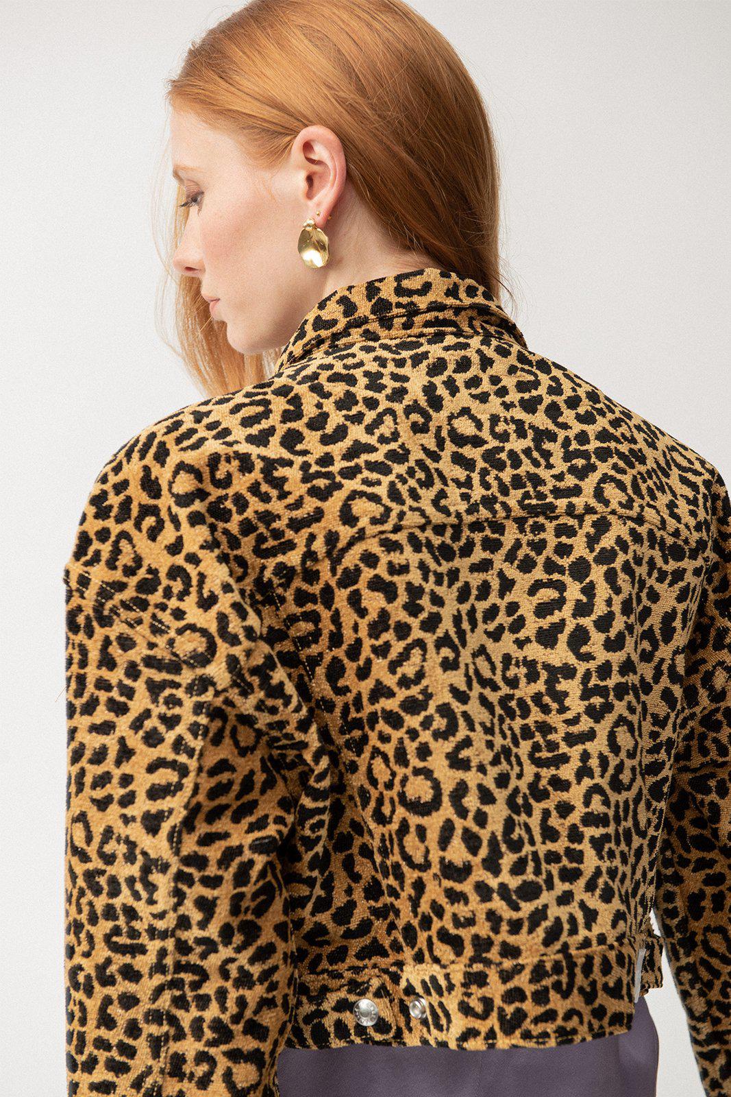 cropped cheetah jacket