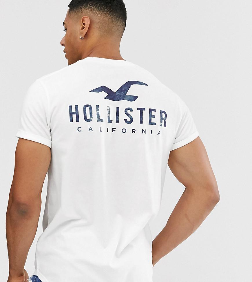 Hollister Exclusive To Asos Front & Back Logo Print Curved Hem T-shirt in  White for Men | Lyst