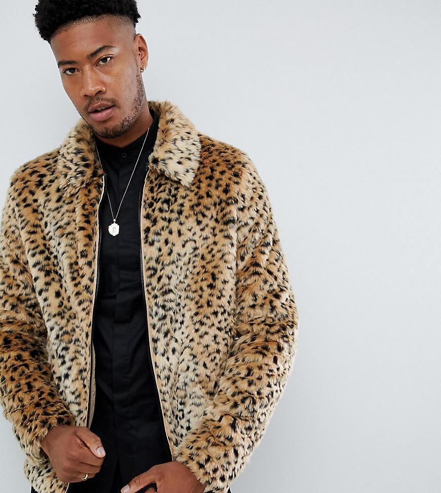 Asos leopard jacket Clearance