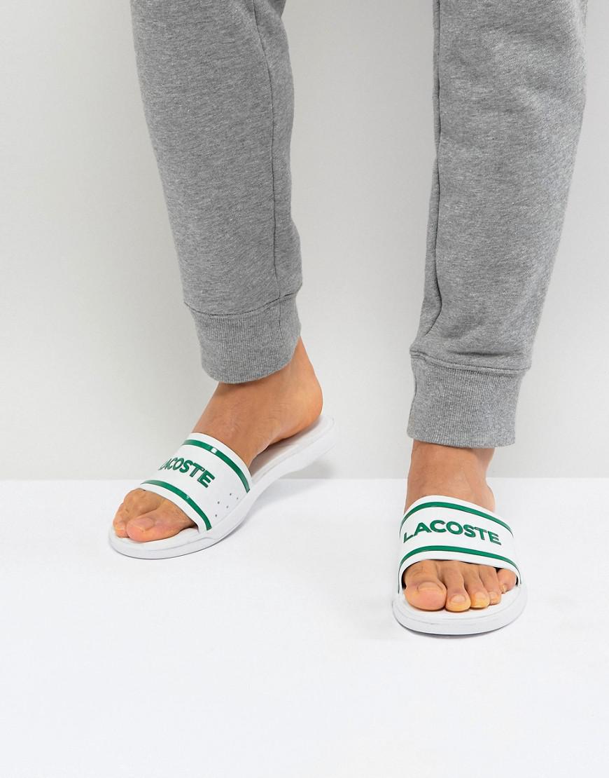 lacoste sliders asos