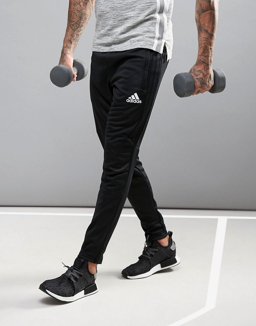 adidas training tapered pants