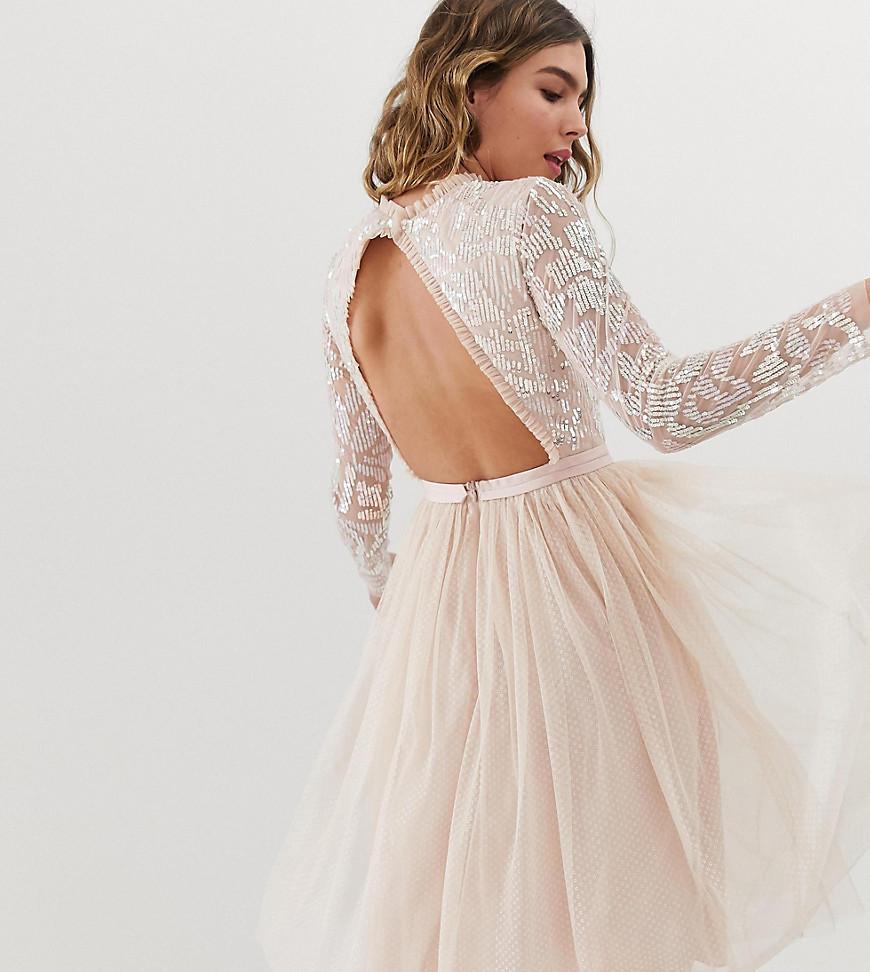 needle and thread tulle