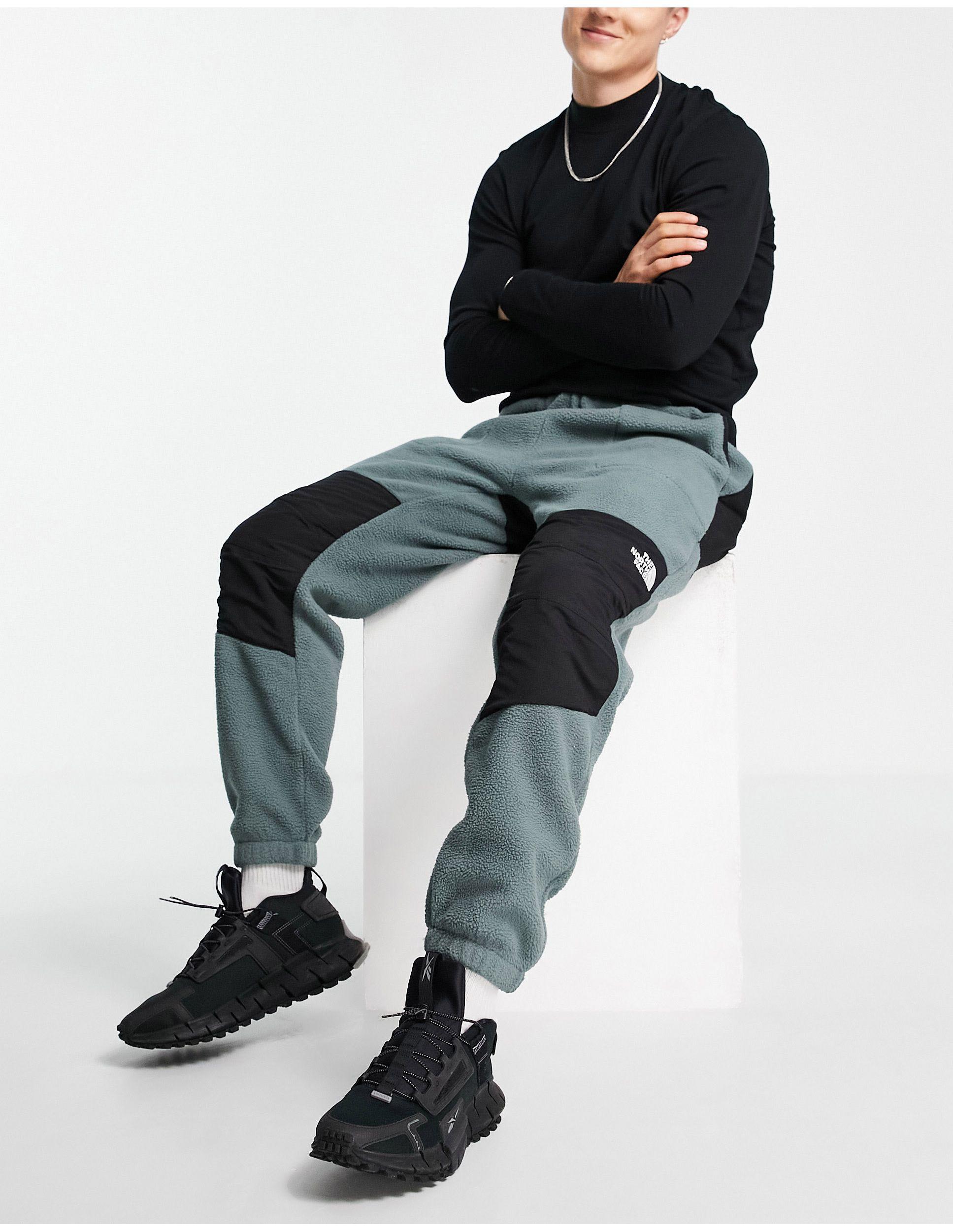 The North Face Denali joggers in Green 