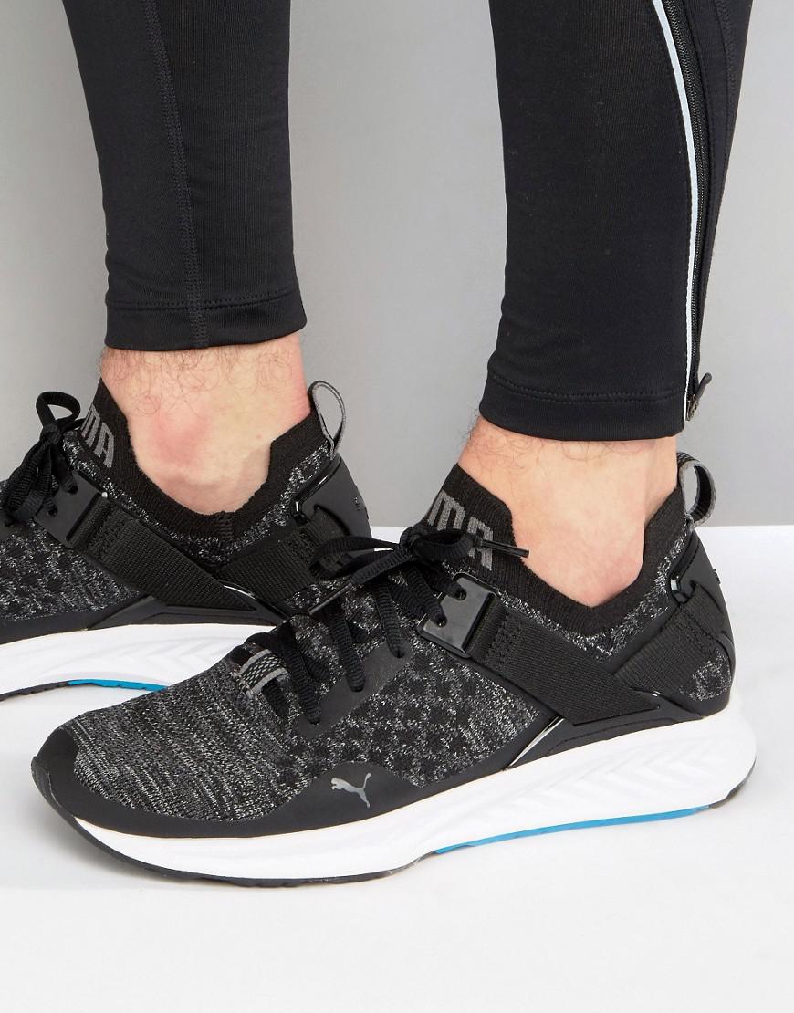 puma ignite evoknit 2 lo