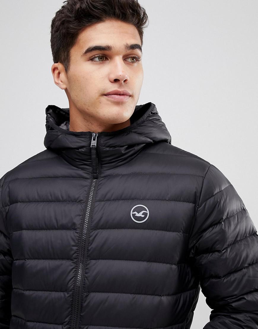 down jacket hollister