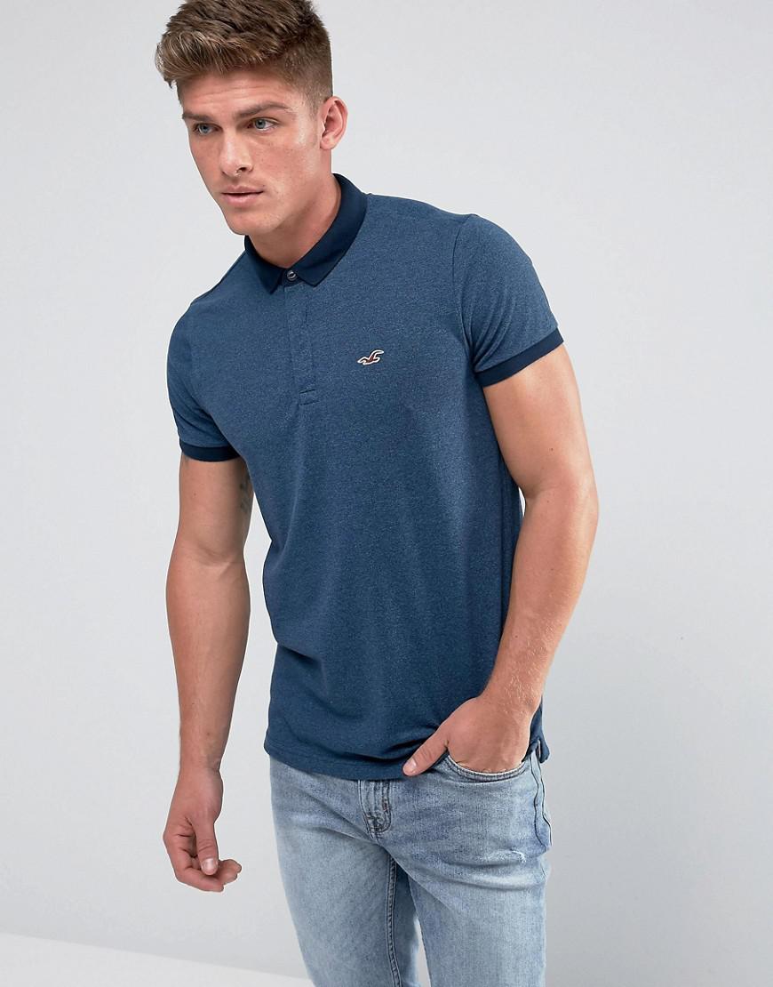 polo hollister