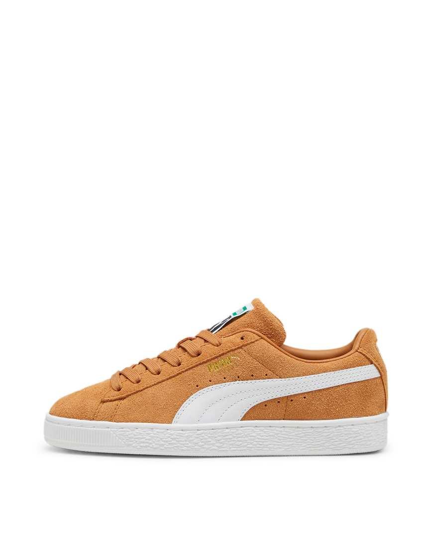 PUMA Suede Classic Sneakers in Brown Lyst UK