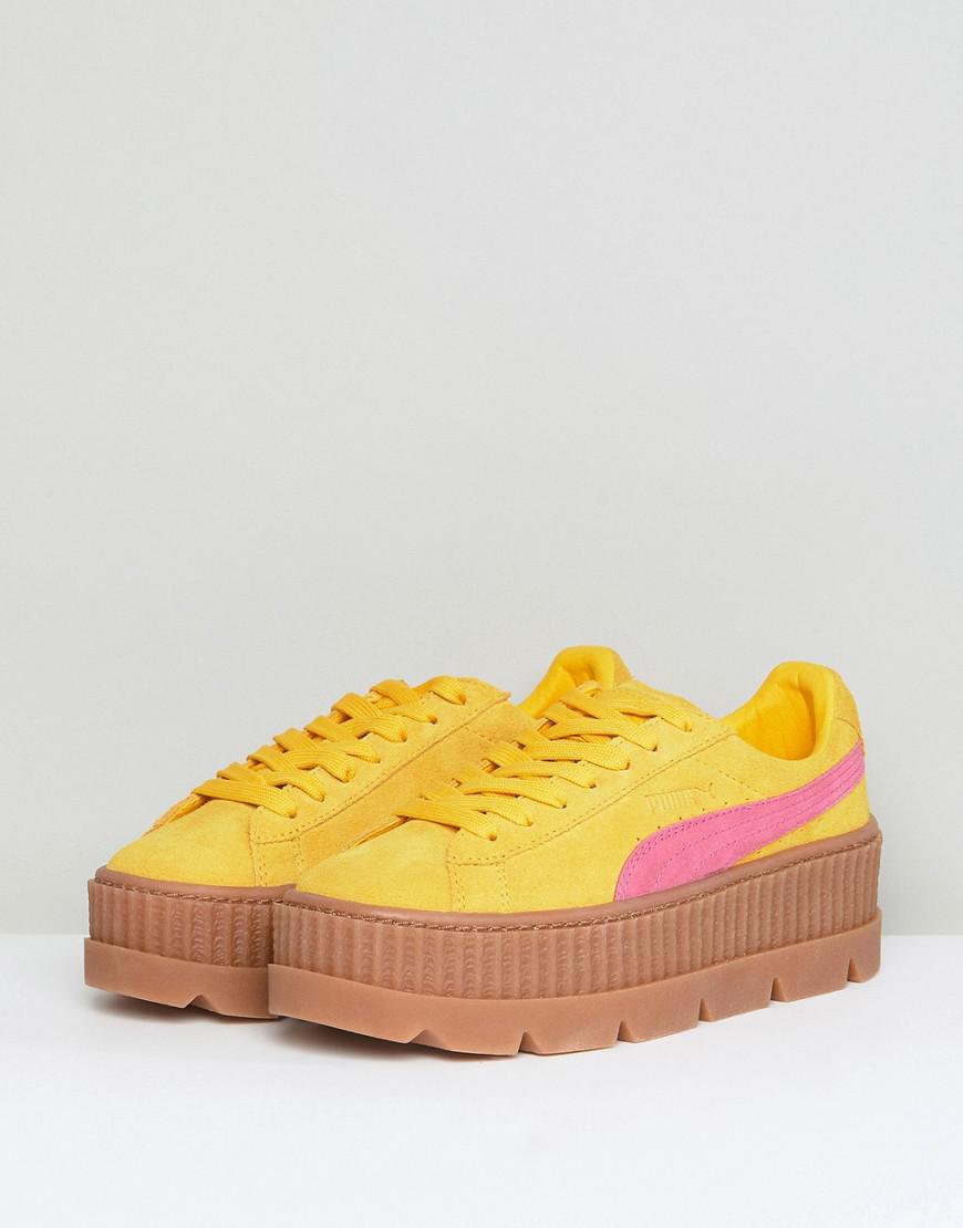 yellow puma creepers