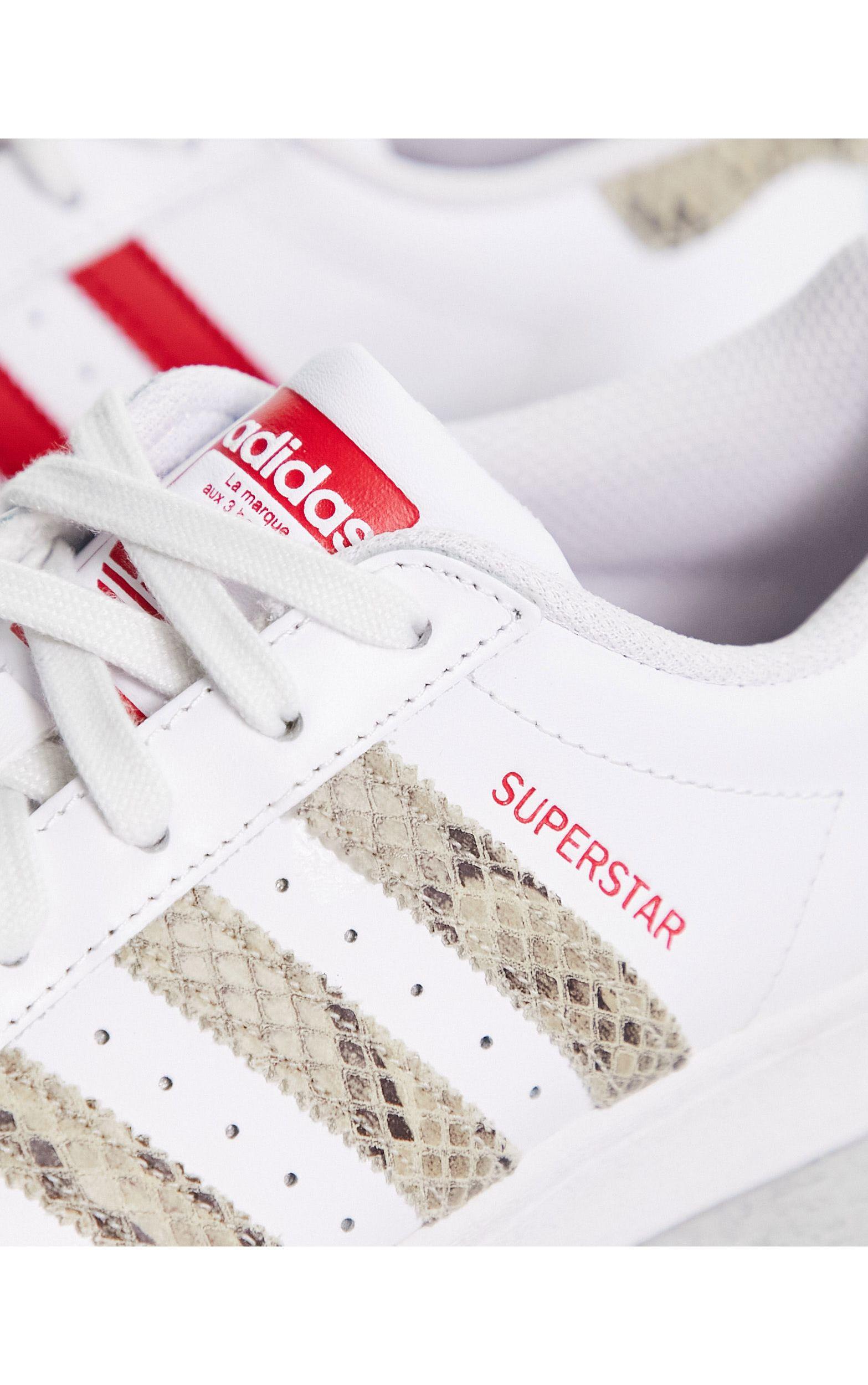 adidas Originals Superstar Snake Print Sneakers in White | Lyst