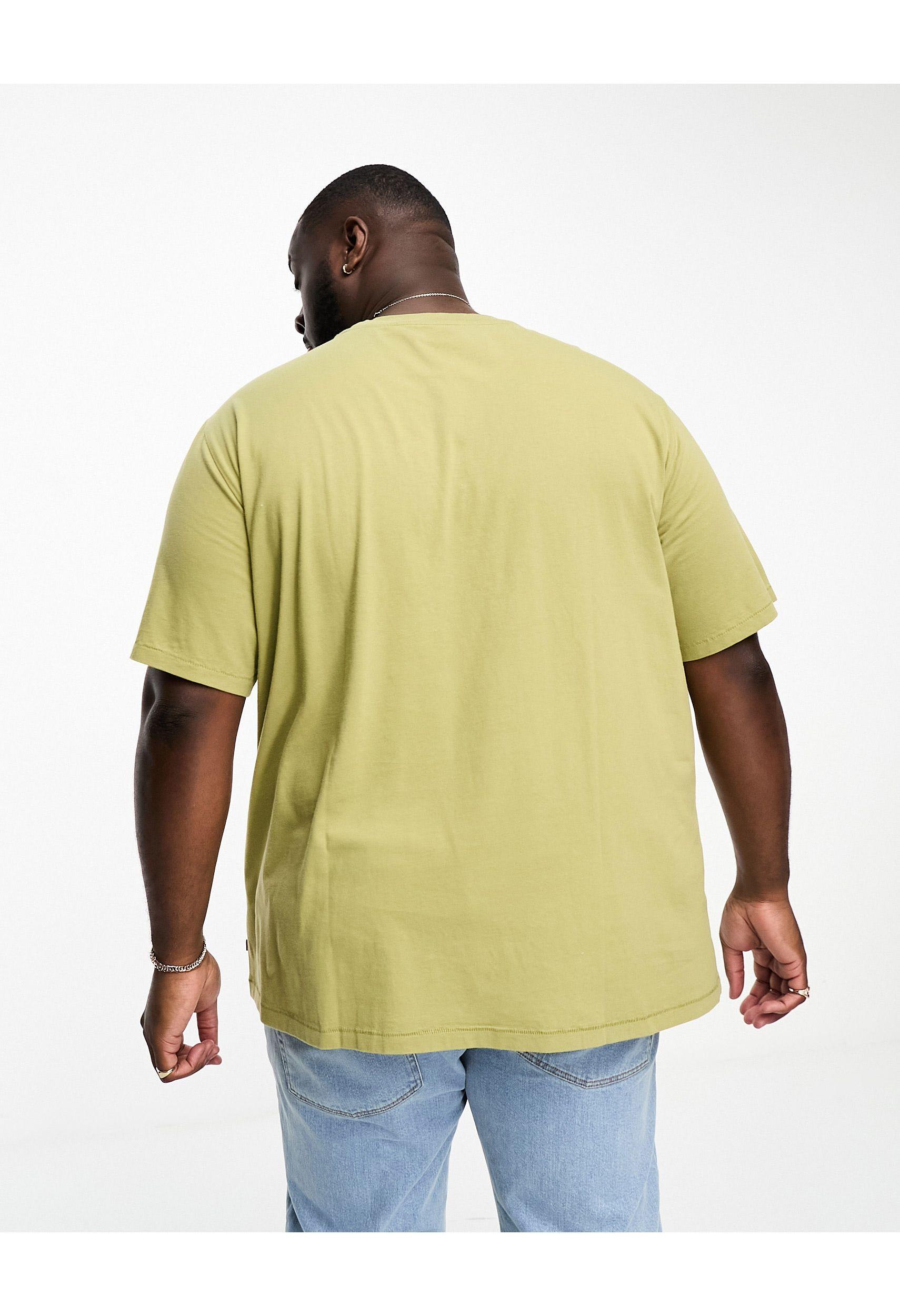 Relaxed Fit Tee (big & Tall) - Green