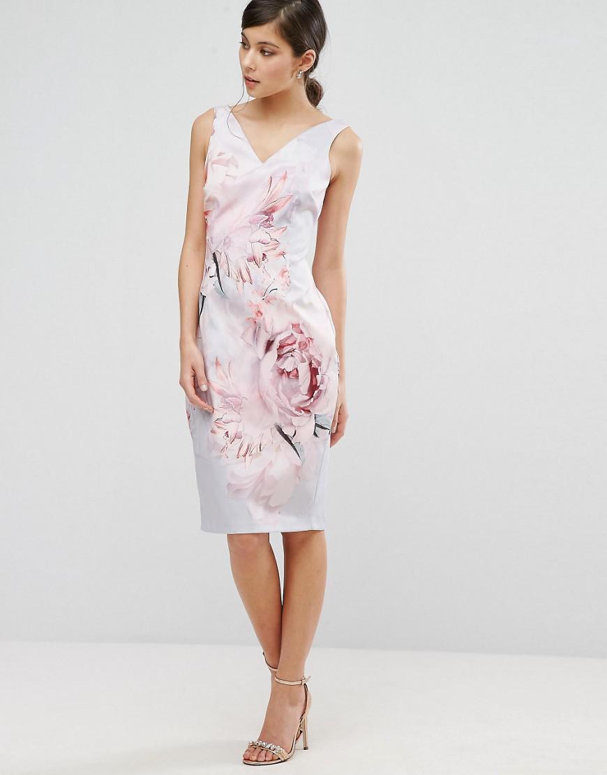 coast blush lace waist shift dress