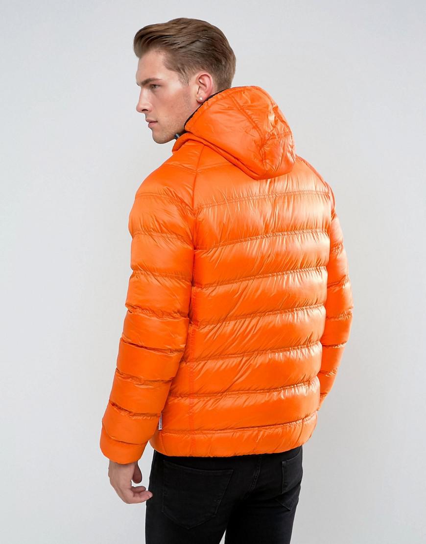 bellfield padded jacket