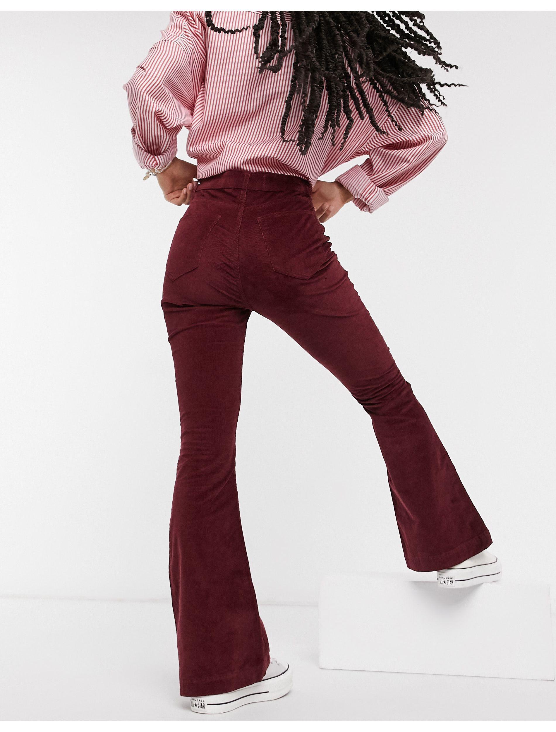 christmas clothes for dogs