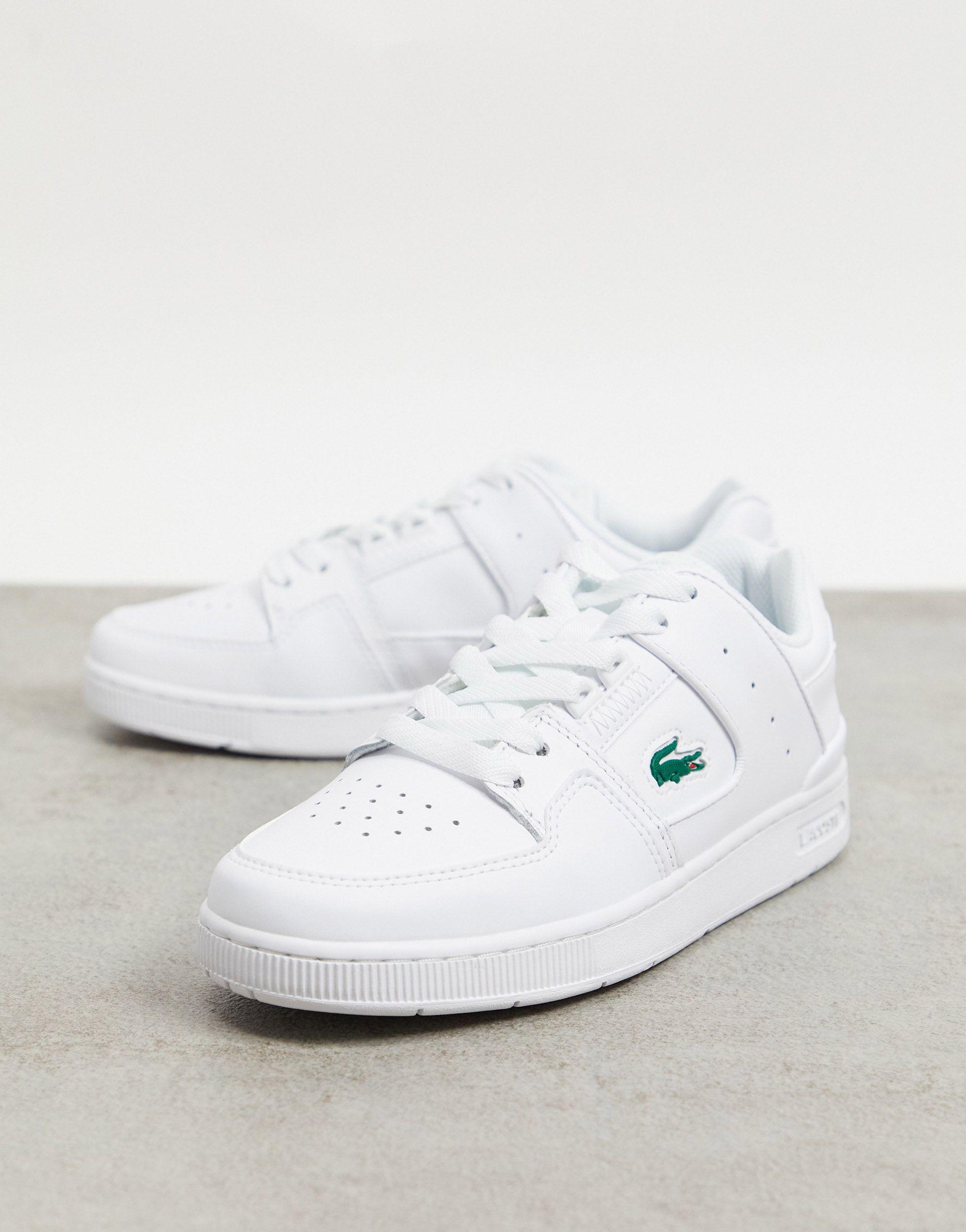 lacoste court cage