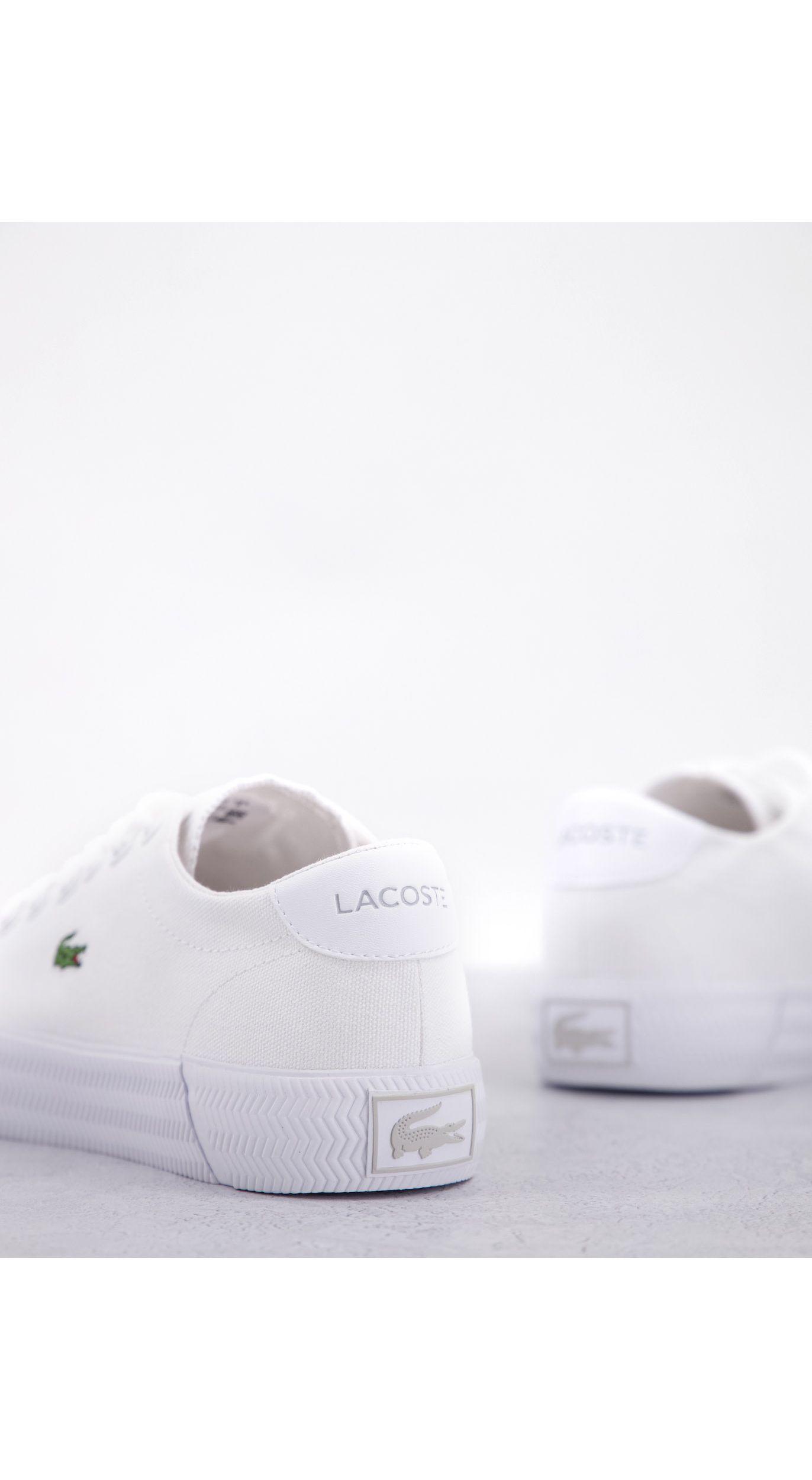 lacoste nk
