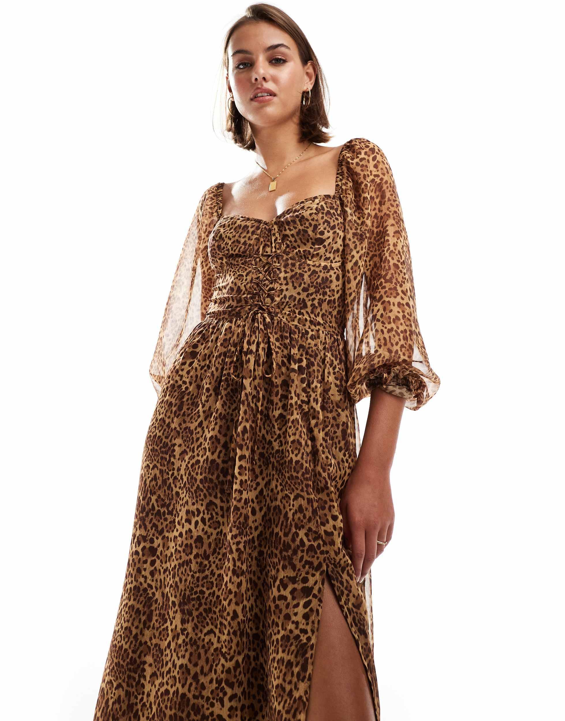 Leopard print dress miss selfridge clearance