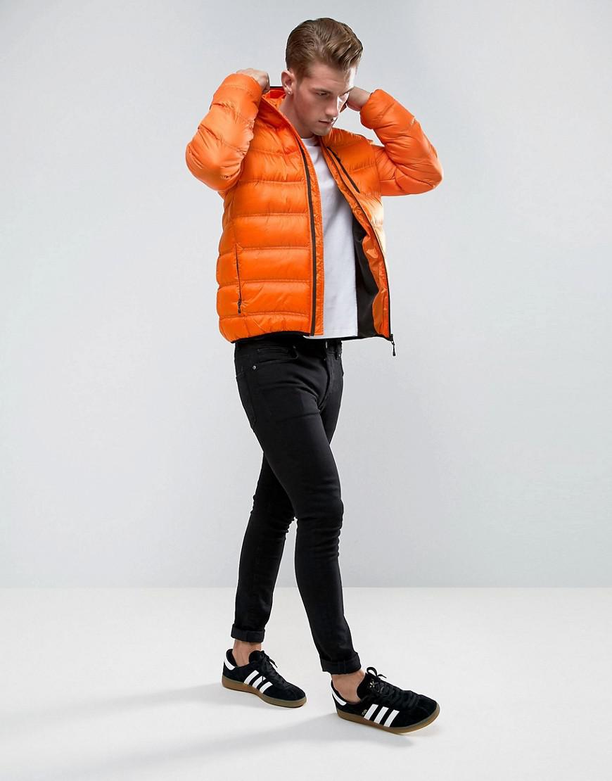 bellfield padded jacket