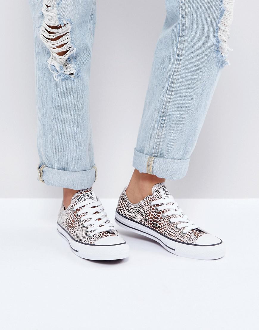 مجموعة حمال جمع الأوراق converse snake amazon - almaden-usa.com