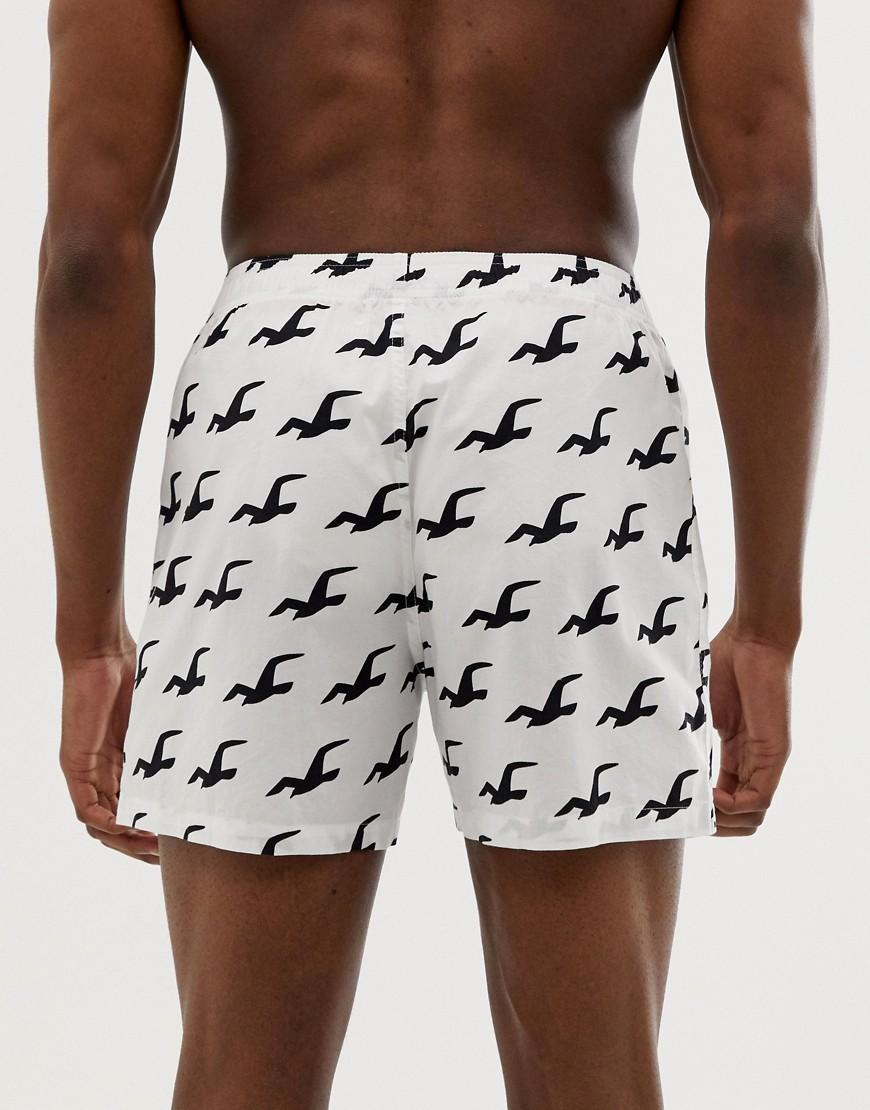 hollister boxershorts