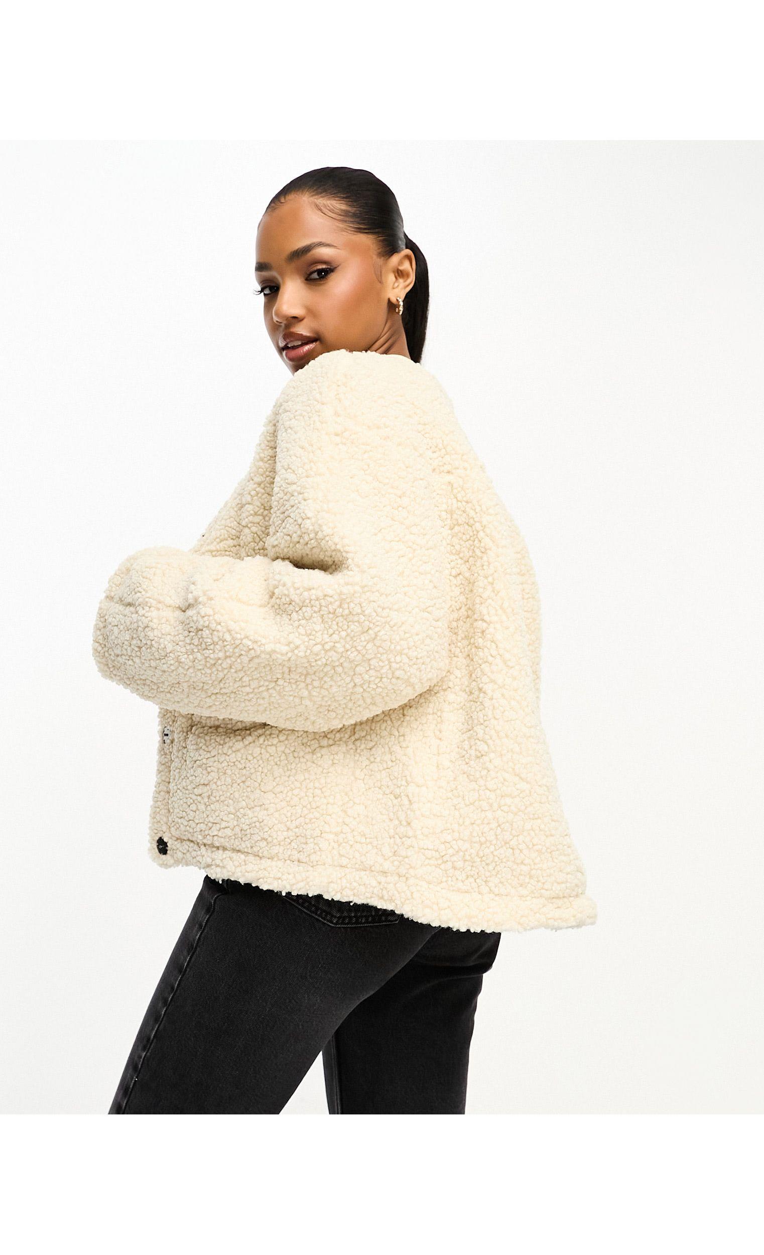 Collarless 2025 teddy coat