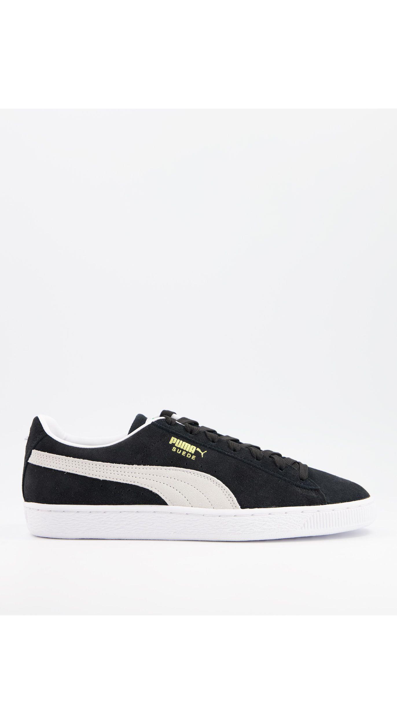puma daim homme
