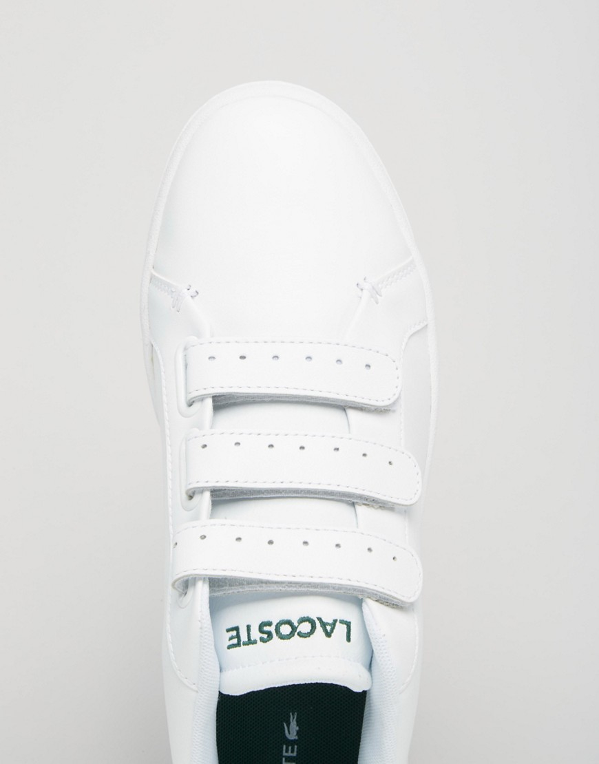 velcro lacoste