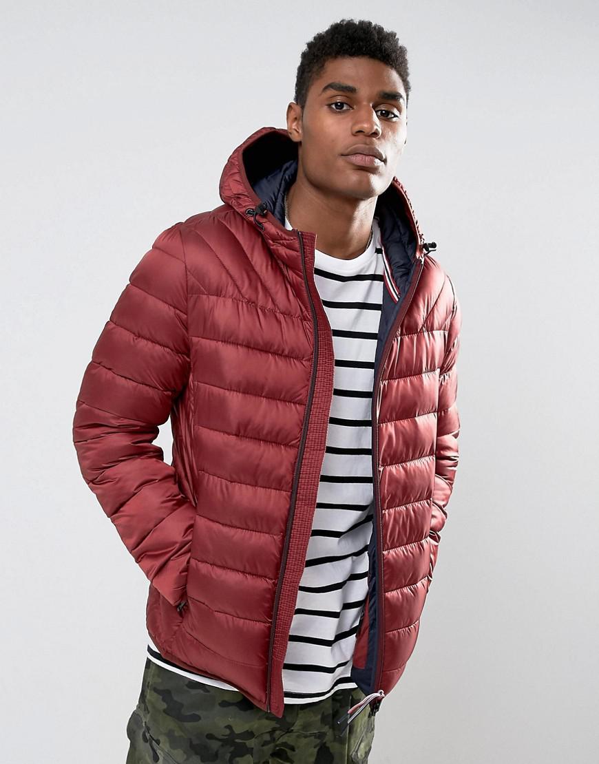 burgundy napapijri jacket