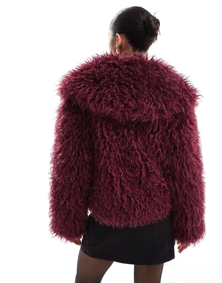 The Frolic X Bella Stovey Exclusive Oversized Collar Mongolian