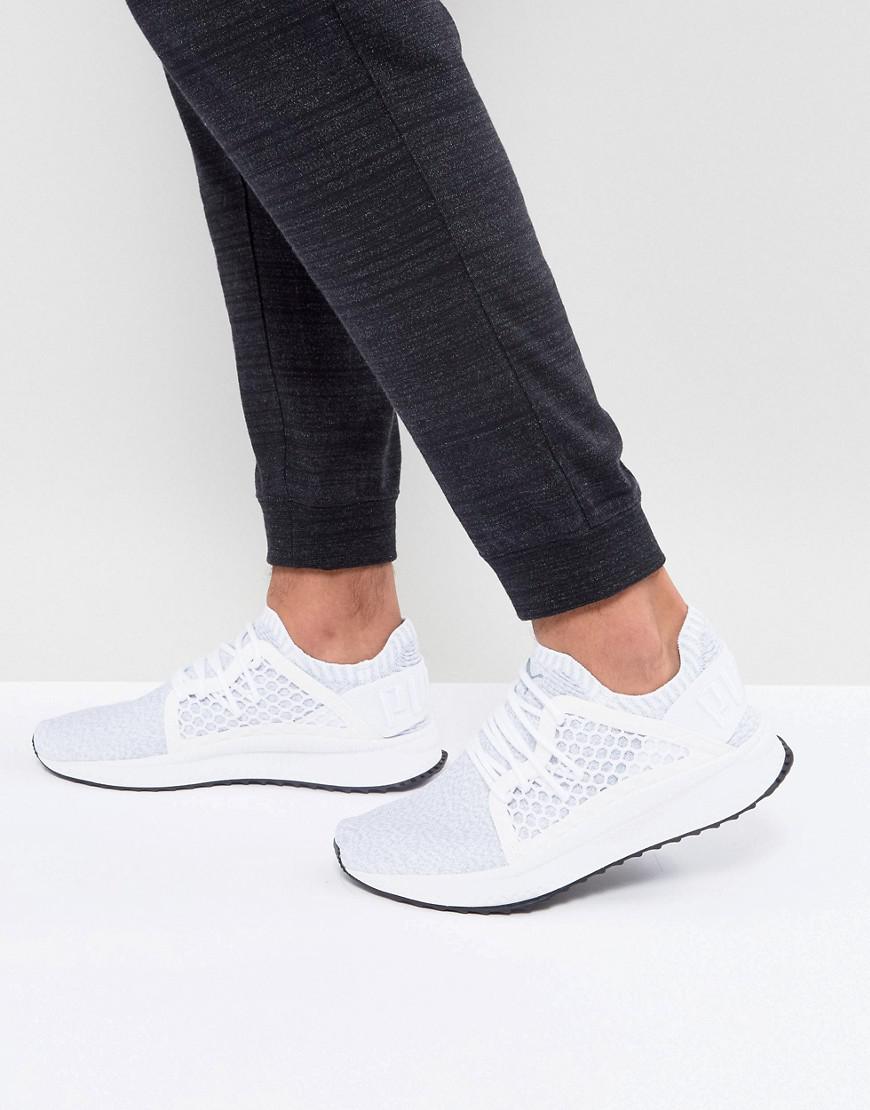 puma basket netfit evoknit puma basket netfit evoknit
