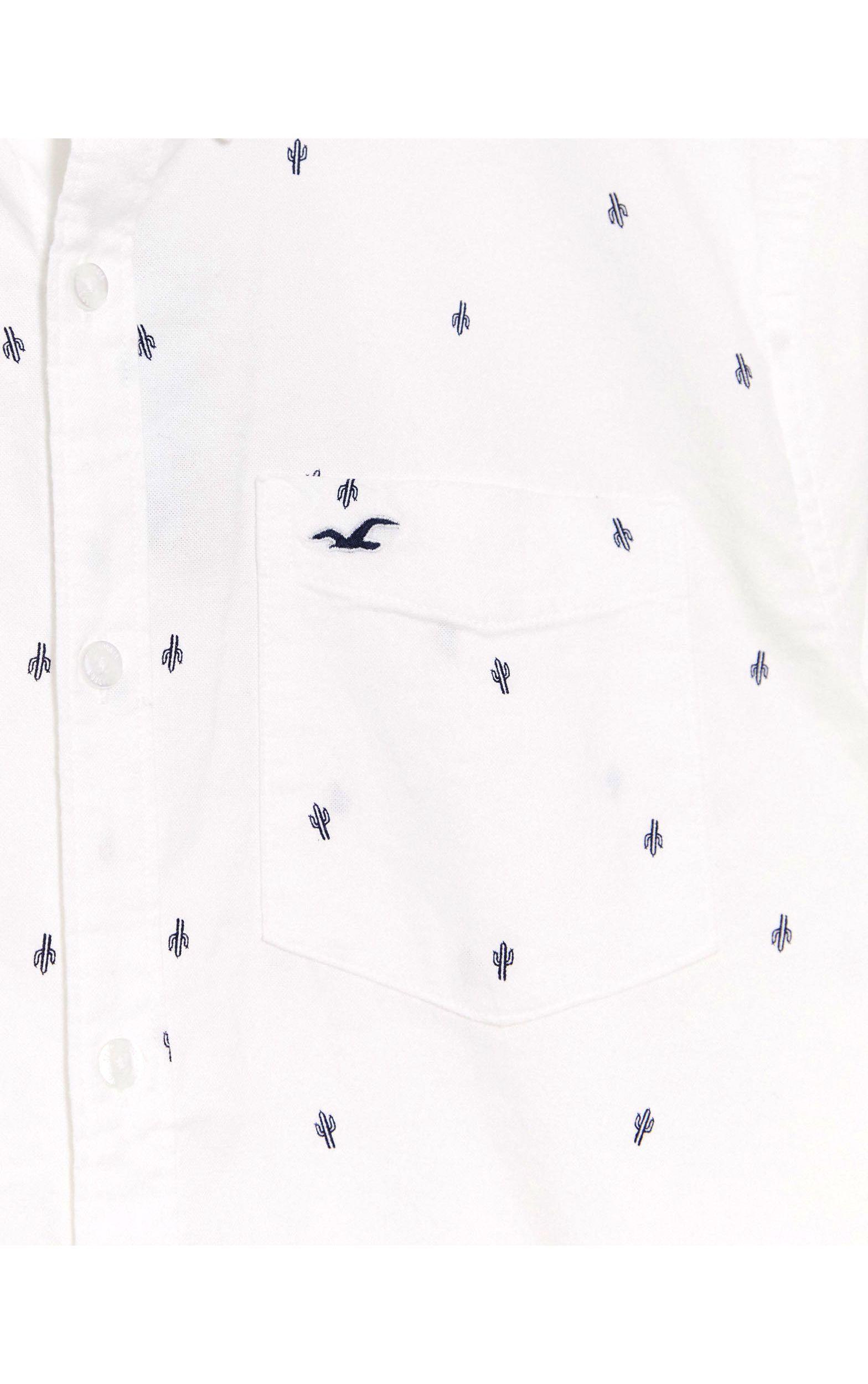 hollister camisas