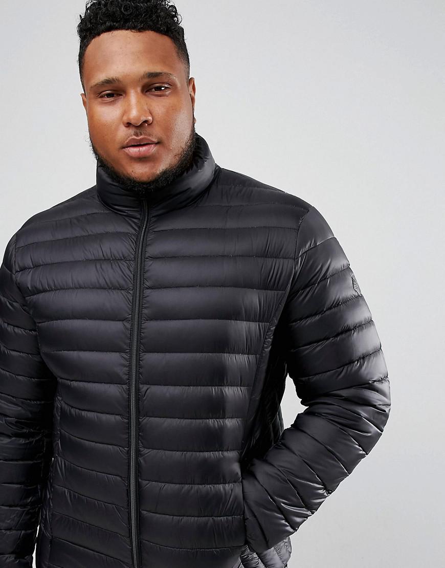 schott nyc down jacket