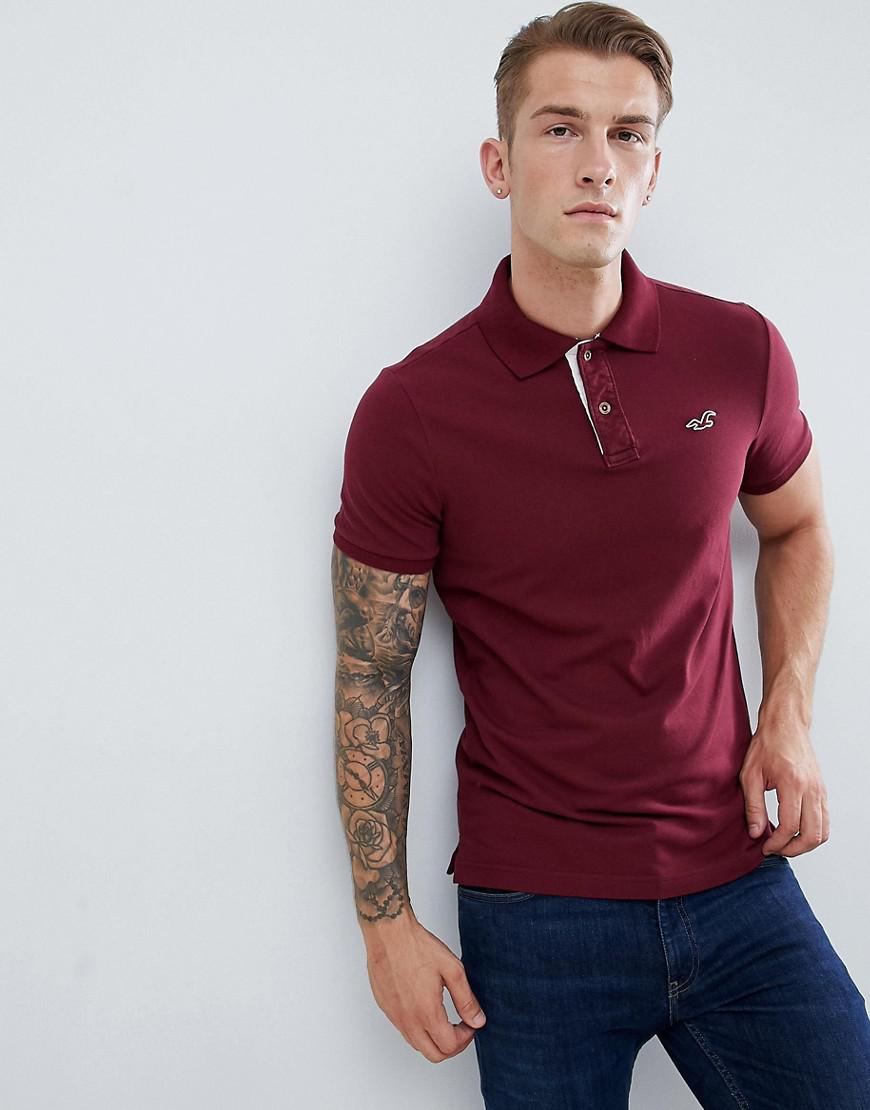 polo hollister