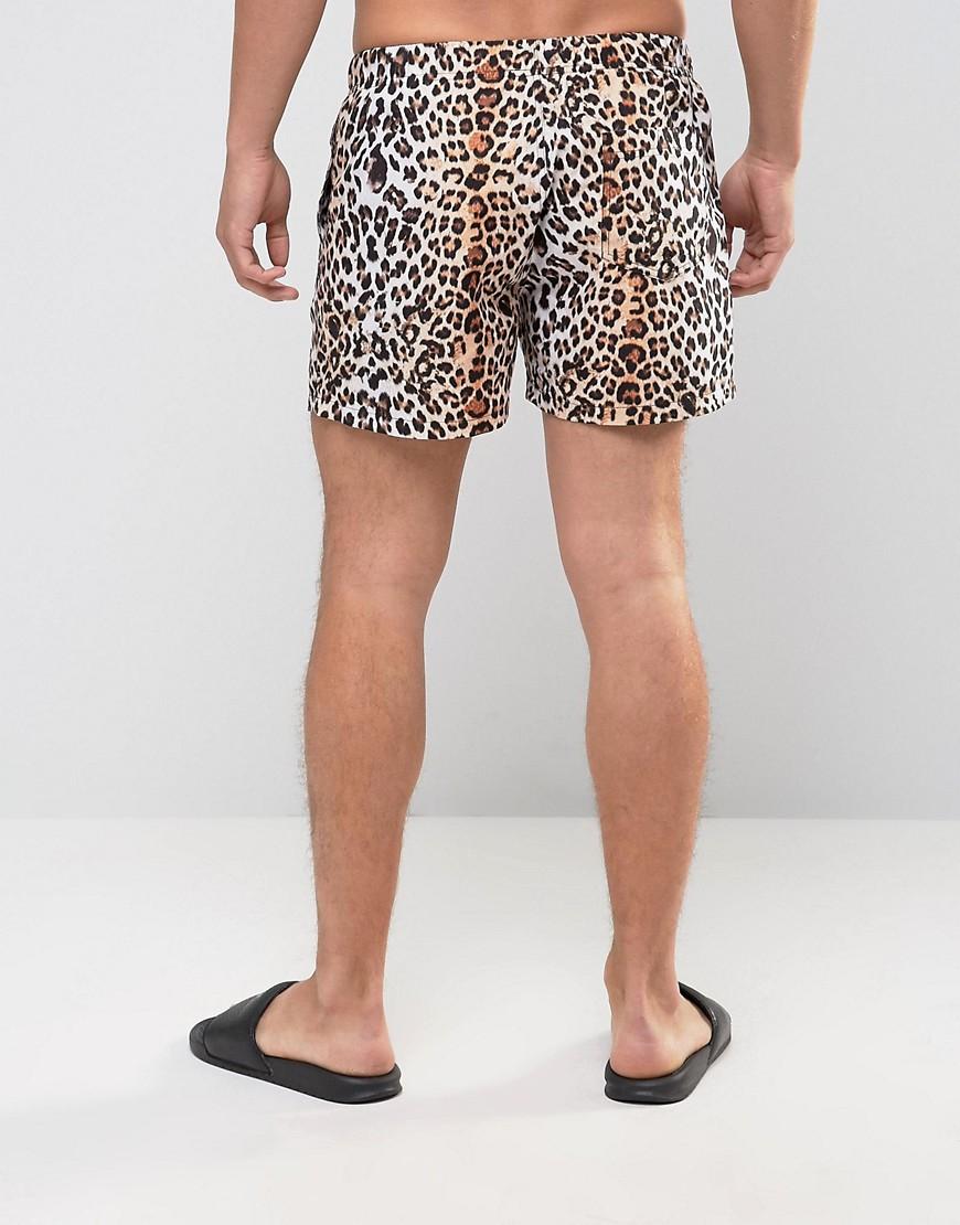 ASOS Synthetic Swim Shorts With Leopard Print In Short Length in Black