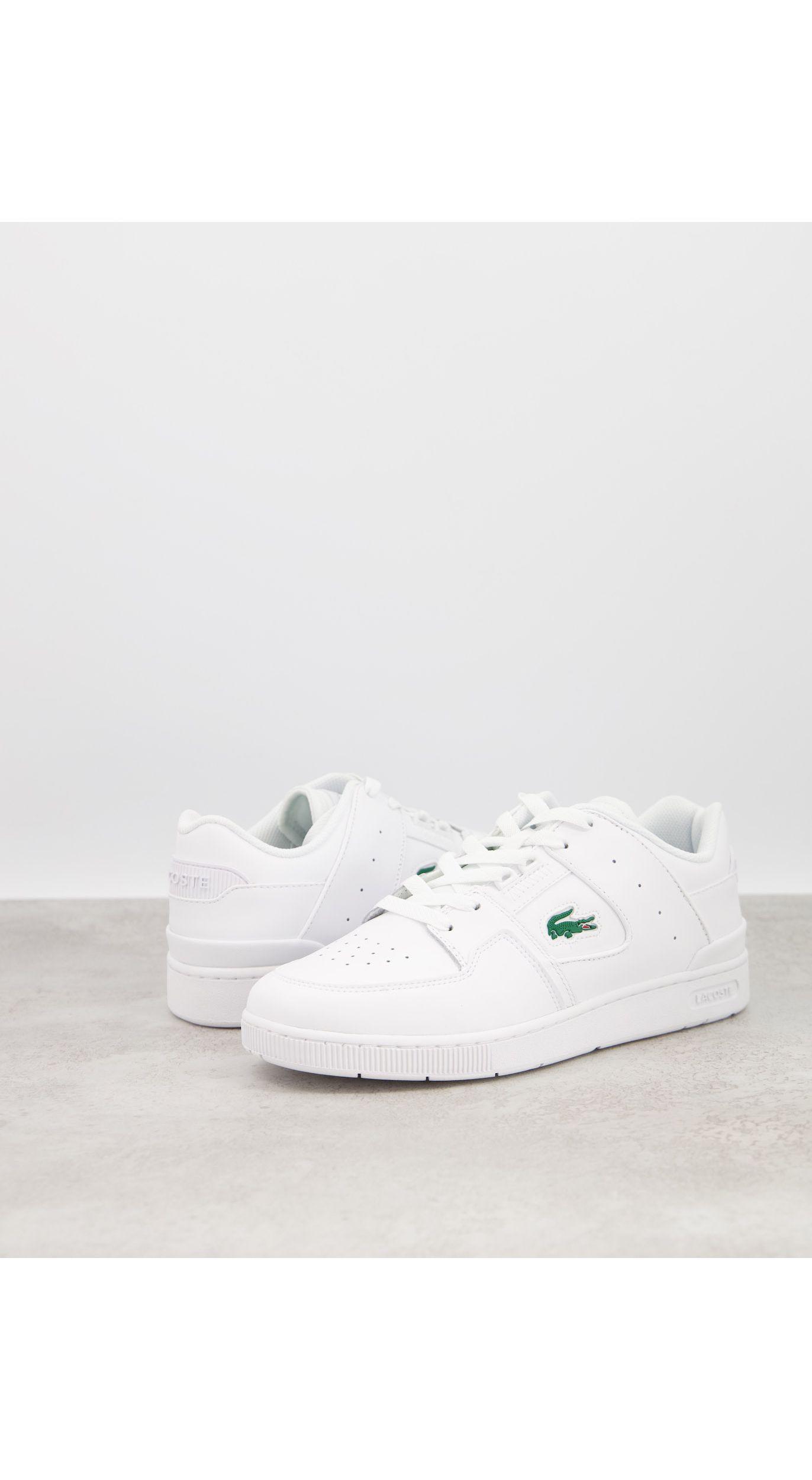 lacoste court cage
