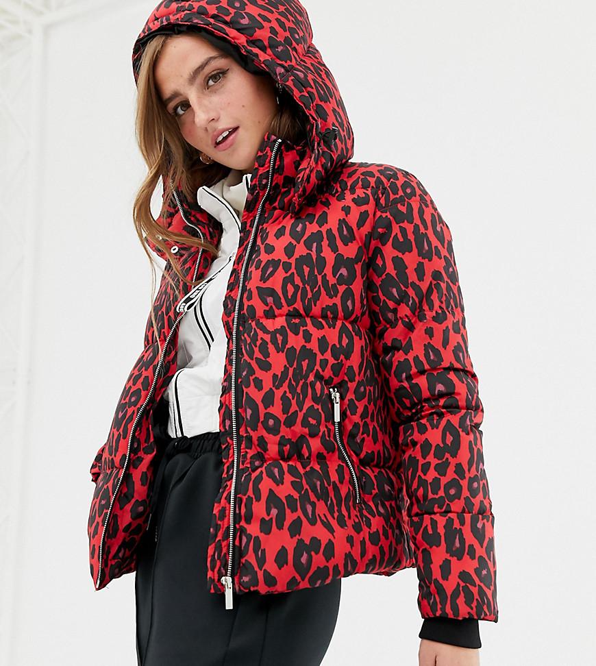 New Look Denim Puffer Jacket In Leopard Print in Red | Lyst