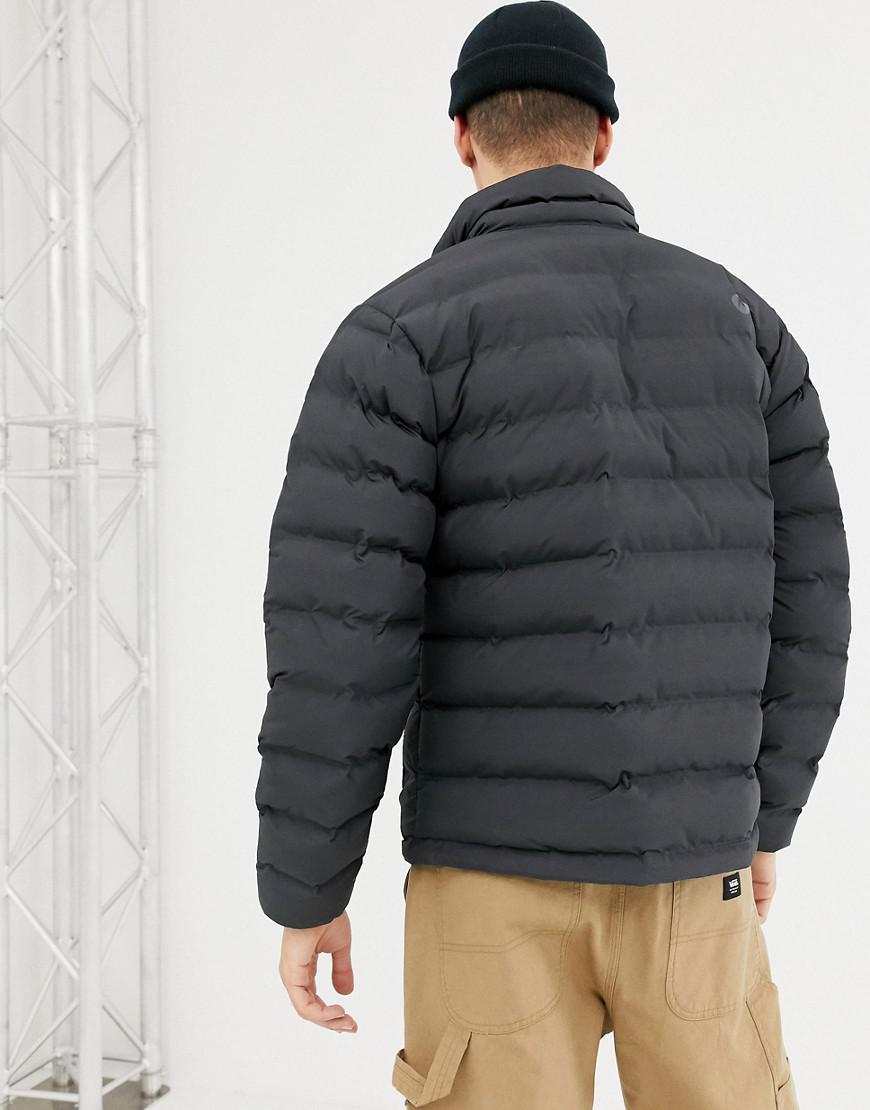 marmot alassian featherless