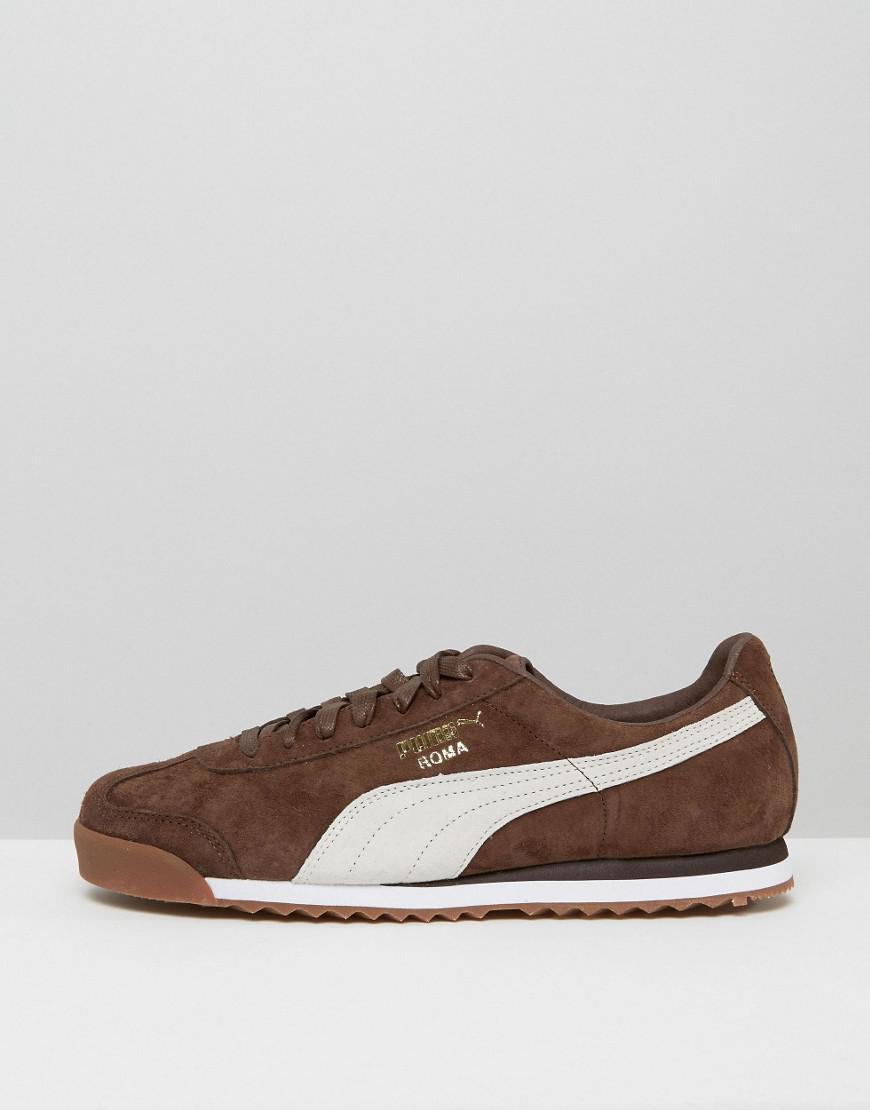 brown puma roma