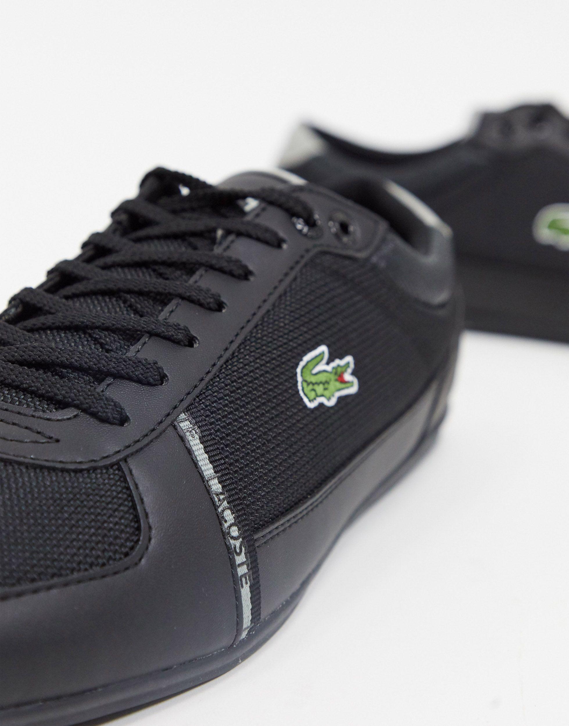 Кроссовки Lacoste Купить В Спб
