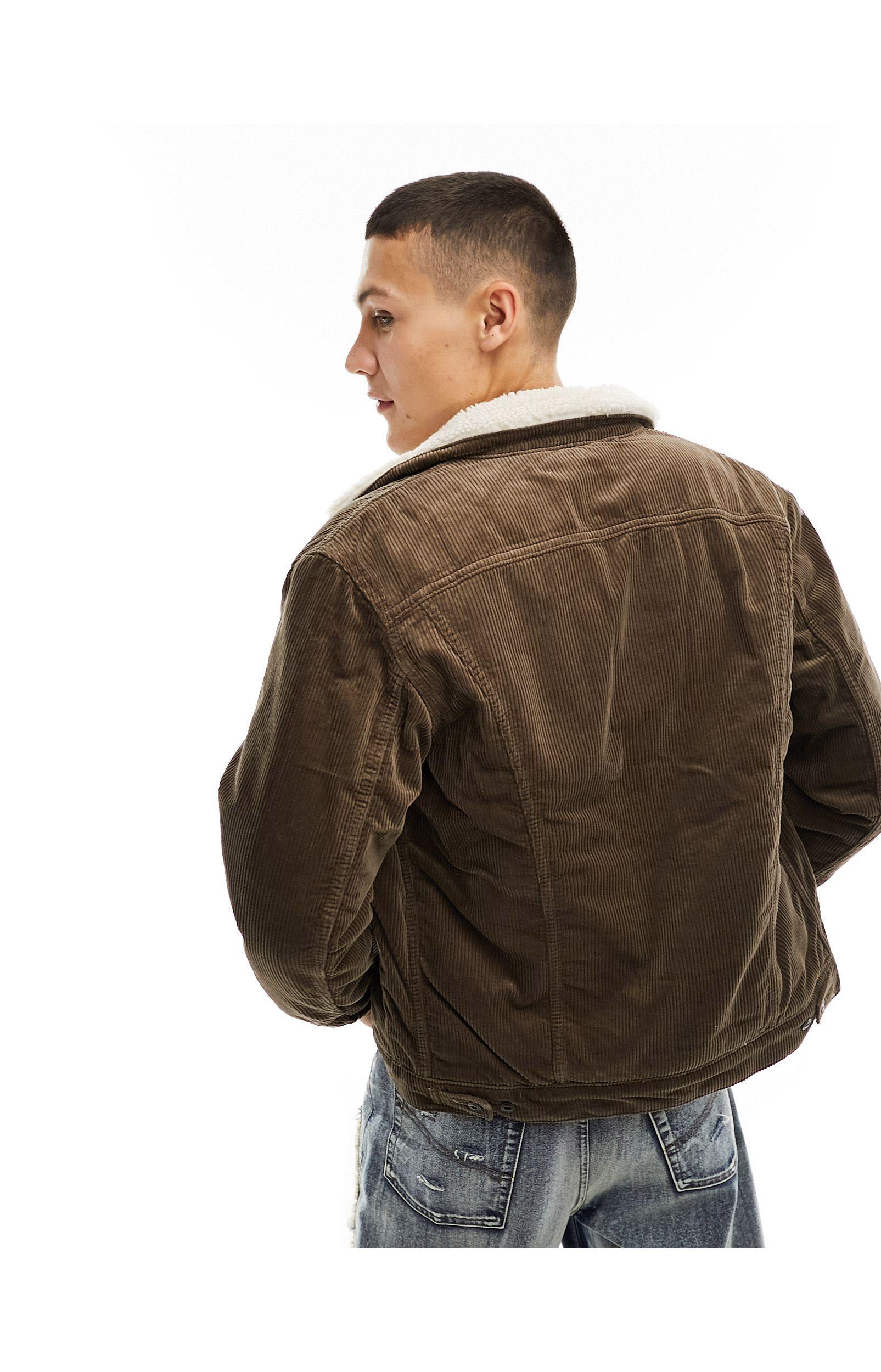Tan borg clearance lined cord jacket