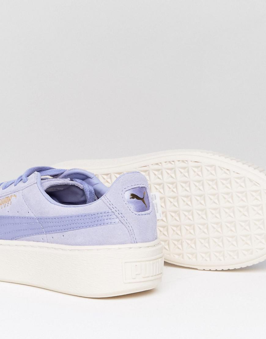 lilac pumas