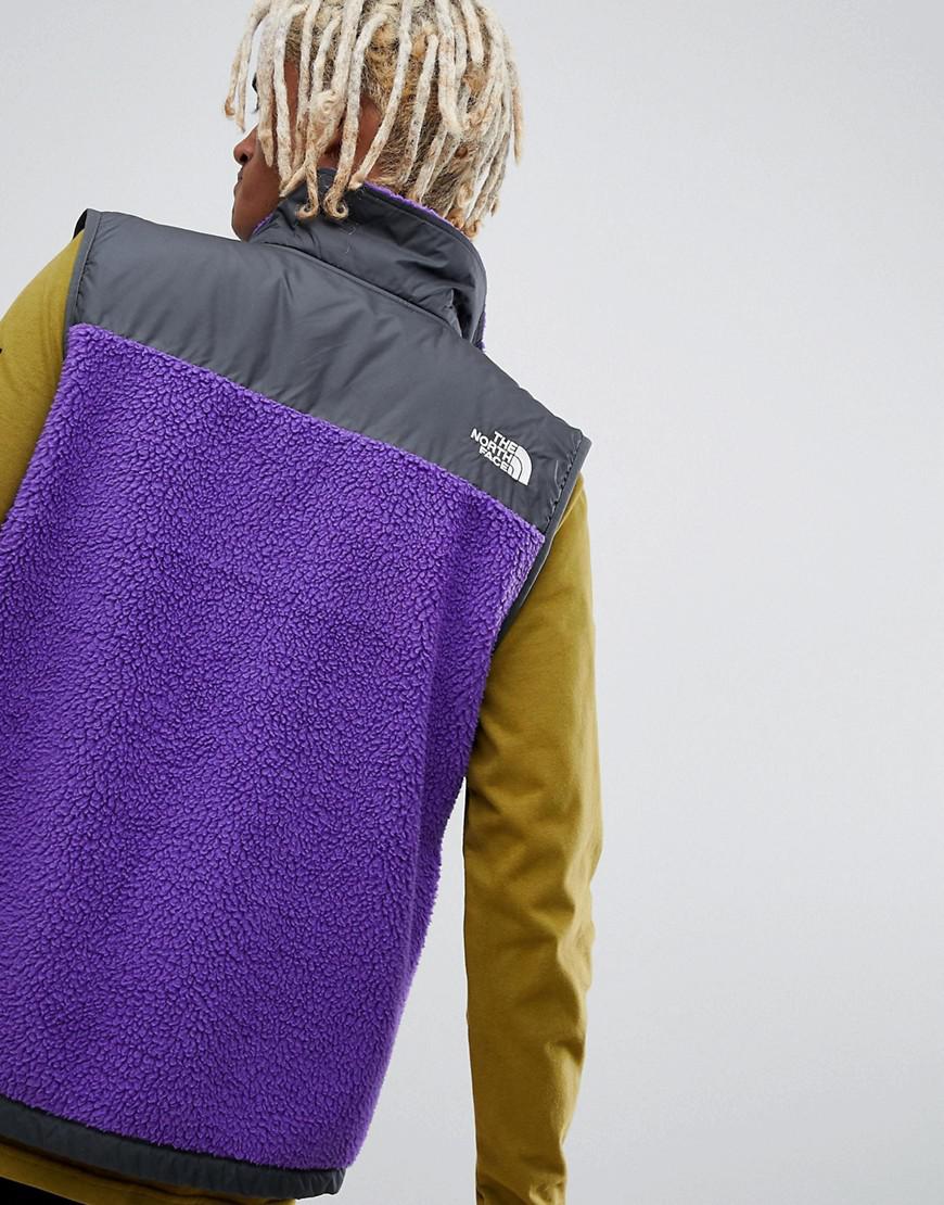 purple north face denali jacket